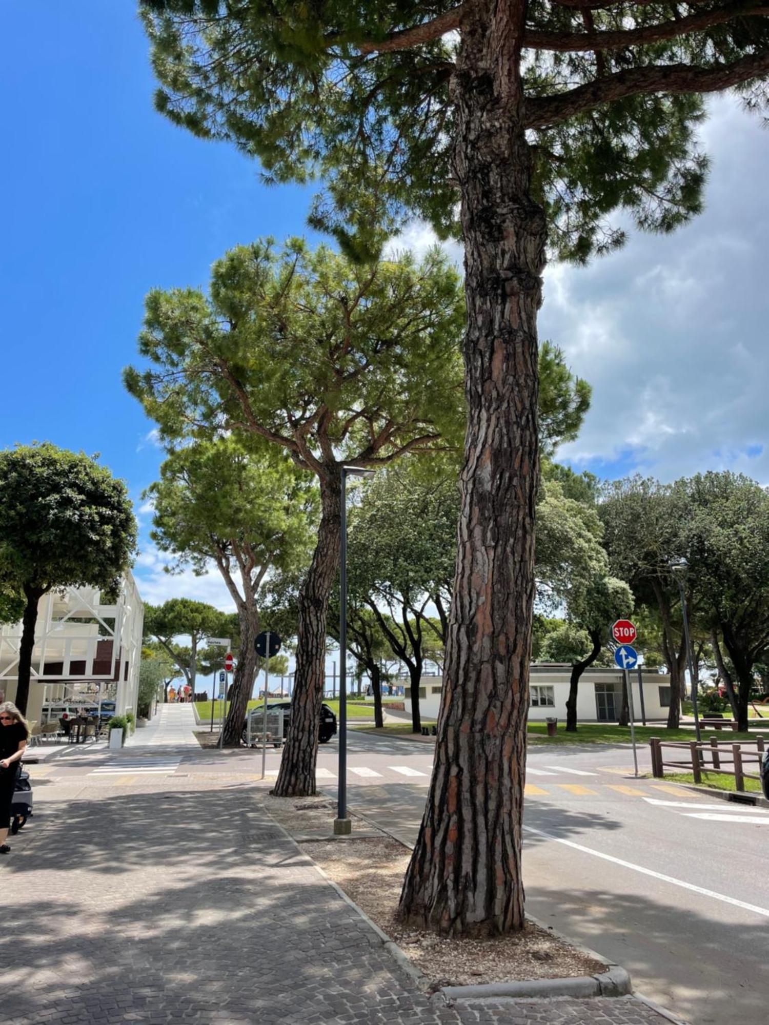 Villa Paradiso Lignano Sabbiadoro Exteriér fotografie